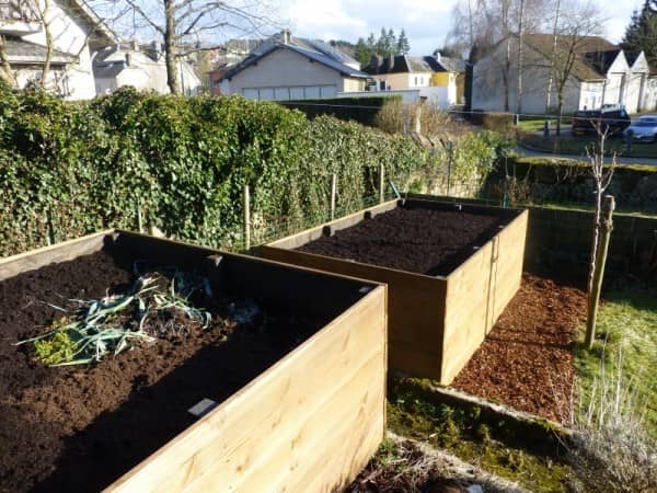 boxes de plantation en bois boxes de plantation en bois