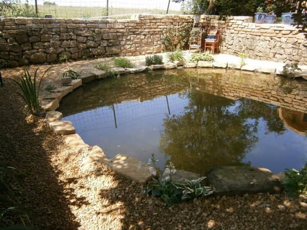 mare d'eau dans un jardin mare d'eau dans un jardin