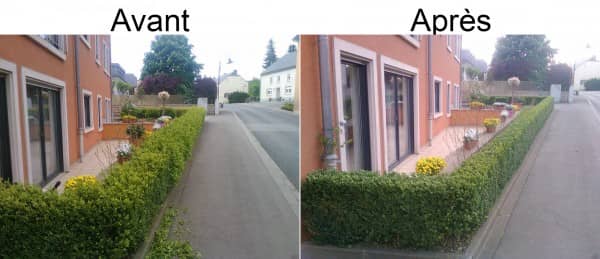 taille de haie taille de haie